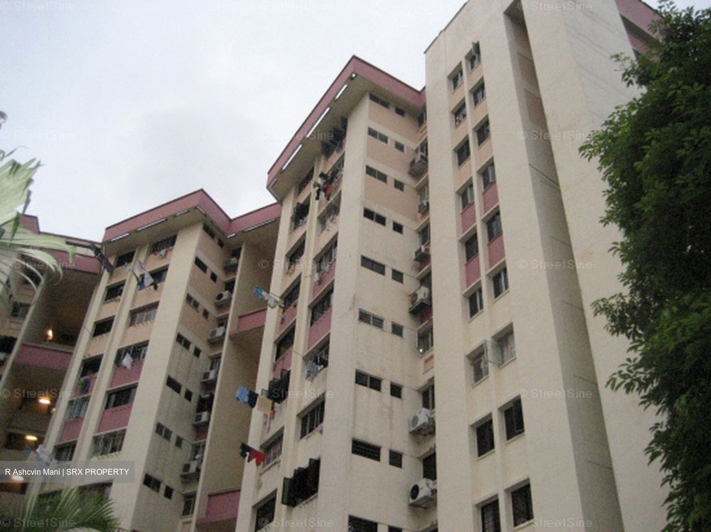 Blk 50 Chai Chee Gardens (Bedok), HDB 3 Rooms #638124671